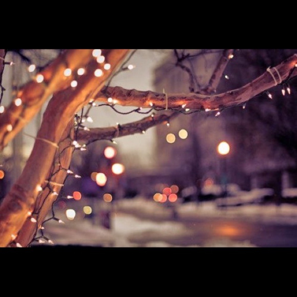 Meet your Posher, Gigi